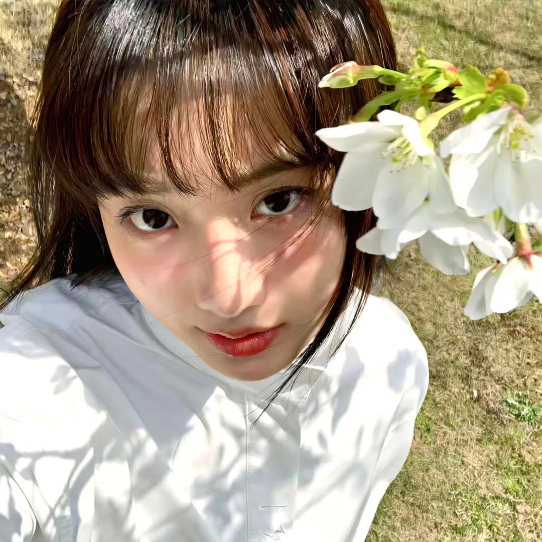 双花镜